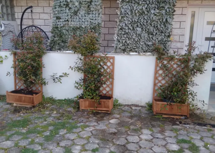 Erceg * ポレッチ